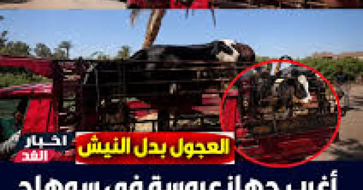 لا نيش ولا صيني.. «عجلين» ضمن جهاز عروسة في سوهاج يشعلان مواقع التواصل