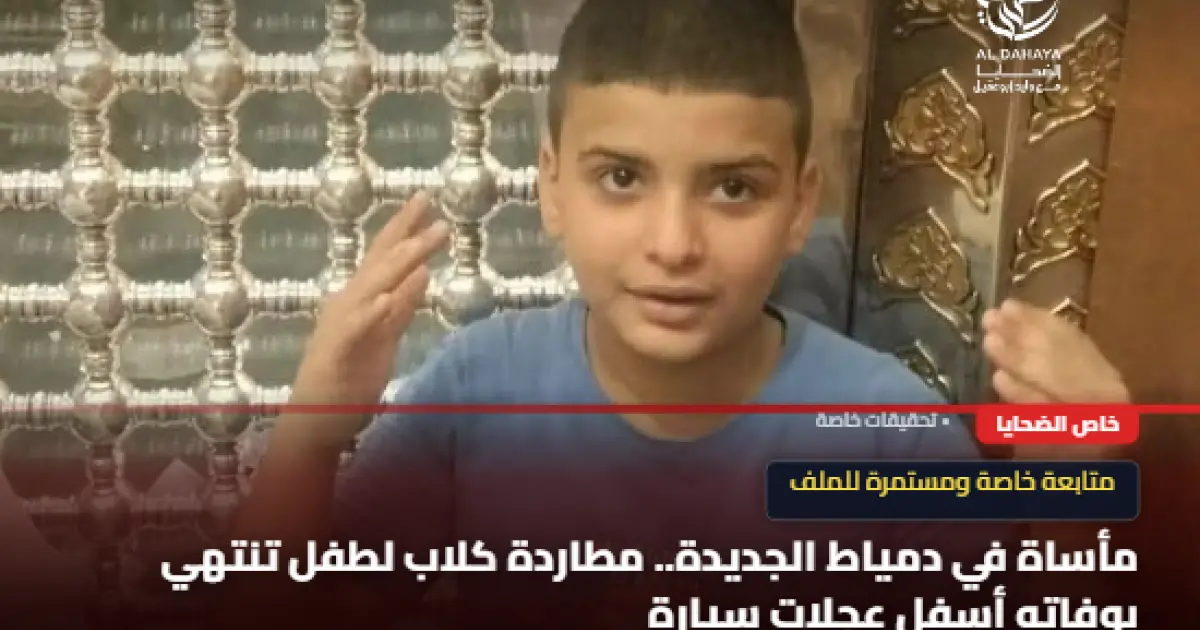مأساة في دمياط الجديدة.. مطاردة كلاب لطفل تنتهي بوفاته أسفل عجلات سيارة
