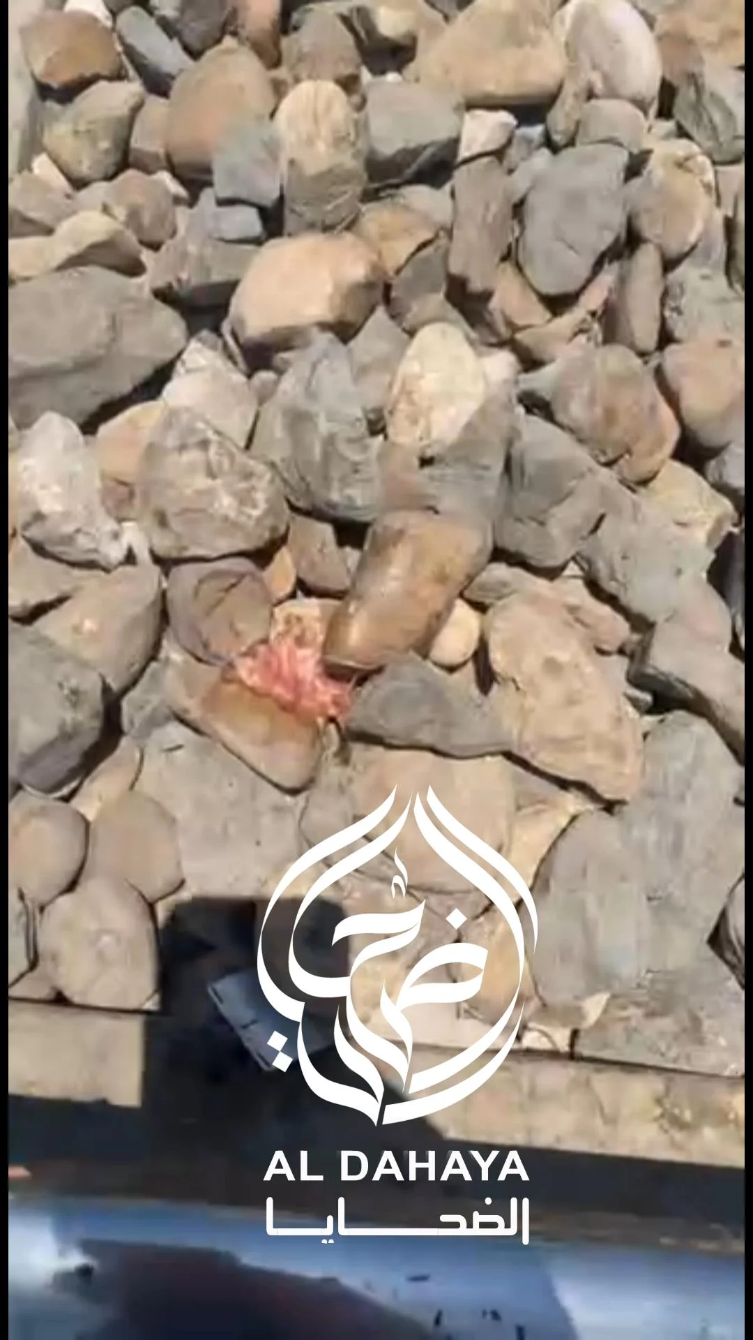 صورة 3 -  بالفيديو مصرع سيدة مجهوله الهوية في حادث قطار  بالمراغة