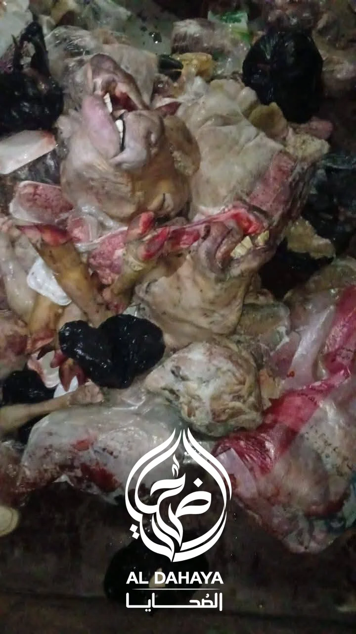 صورة 1 - بالصور :: ضبط 2 طن أغذية فاسدة و23 ألف لتر مشروبات غير صالحة بسوهاج