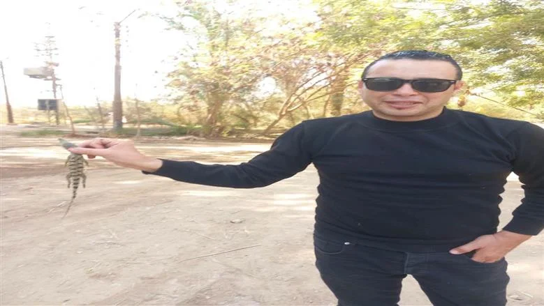 صورة 2 - مفاجأة في قطار أسوان–الإسكندرية.. ضبط 30 تمساحًا بأسيوط ونفوق 3