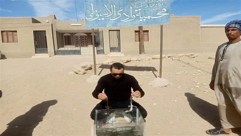 صورة 3 - مفاجأة في قطار أسوان–الإسكندرية.. ضبط 30 تمساحًا بأسيوط ونفوق 3