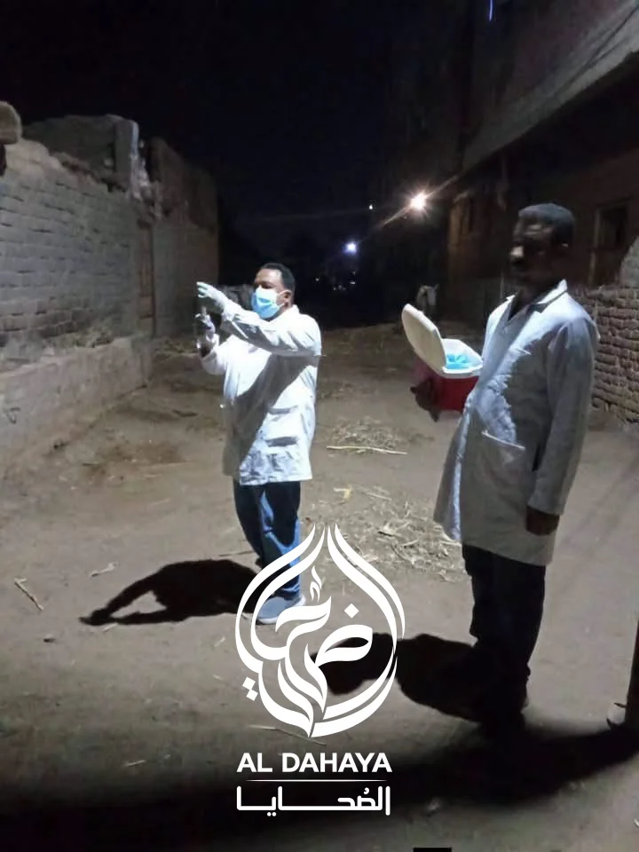 صورة 1 - عقر جماعي في ساقلتة بسوهاج.. تحصين 27 كلبًا والتحفظ على الكلب المتسبب في إصابة المواطنين