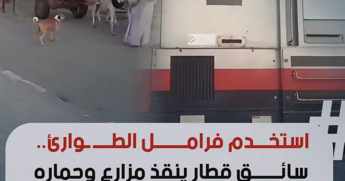 ربنا ألهمني أوقف القطار».. علاء سيد سائق قطار ينقذ مزارعًا وحماره من كارثة محققة في أسوان
